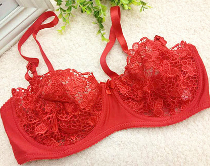 Women Sexy Ultra-thin Transparent Lace Bras Mesh Lingerie