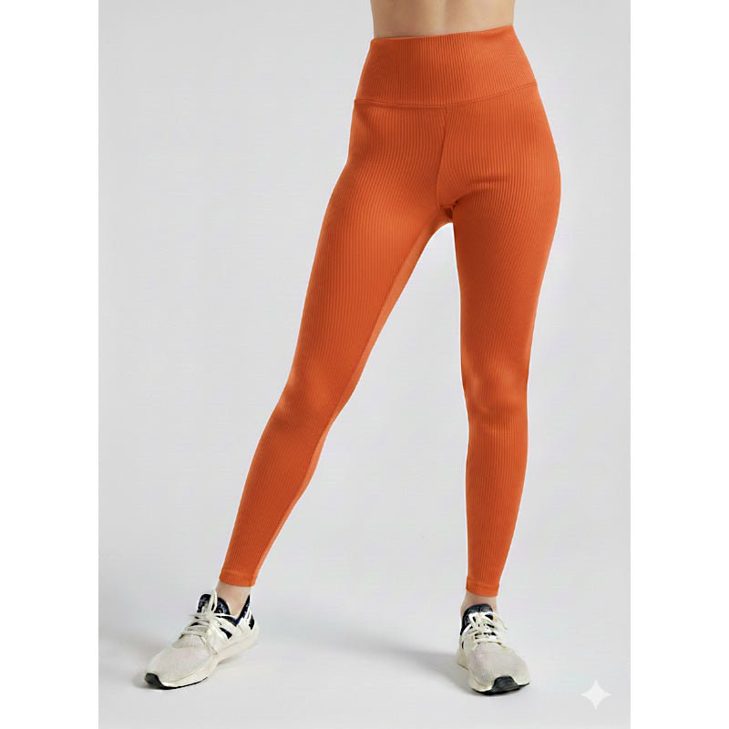 Premium Women Comfort-Fit High-Waist Ribbed Activewear Leggings