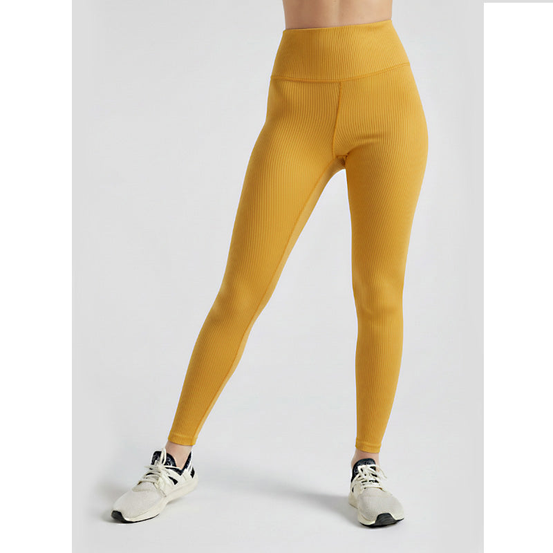Premium Women Comfort-Fit High-Waist Ribbed Activewear Leggings